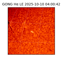 gong - 2025-10-10T04:00:42