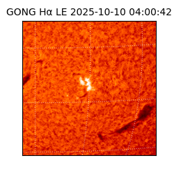 gong - 2025-10-10T04:00:42