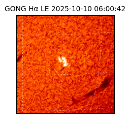 gong - 2025-10-10T06:00:42