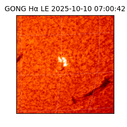 gong - 2025-10-10T07:00:42