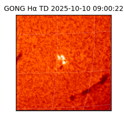 gong - 2025-10-10T09:00:22