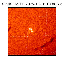 gong - 2025-10-10T10:00:22