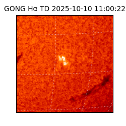gong - 2025-10-10T11:00:22