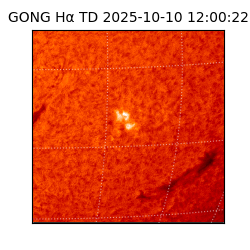 gong - 2025-10-10T12:00:22