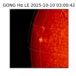 gong - 2025-10-10T03:00:42