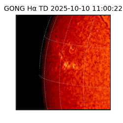 gong - 2025-10-10T11:00:22