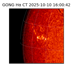 gong - 2025-10-10T16:00:42