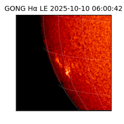 gong - 2025-10-10T06:00:42