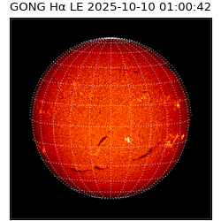gong - 2025-10-10T01:00:42