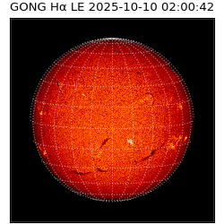 gong - 2025-10-10T02:00:42