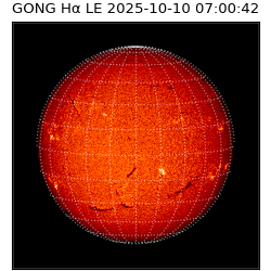 gong - 2025-10-10T07:00:42