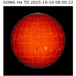 gong - 2025-10-10T08:00:22