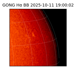 gong - 2025-10-11T19:00:02
