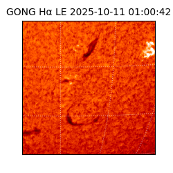 gong - 2025-10-11T01:00:42