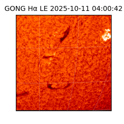 gong - 2025-10-11T04:00:42