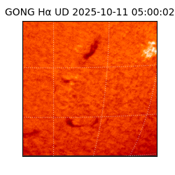 gong - 2025-10-11T05:00:02