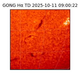gong - 2025-10-11T09:00:22