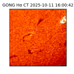 gong - 2025-10-11T16:00:42