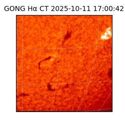 gong - 2025-10-11T17:00:42