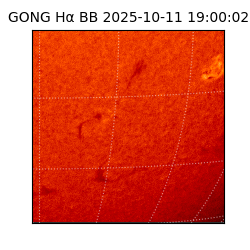gong - 2025-10-11T19:00:02