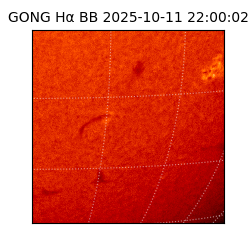 gong - 2025-10-11T22:00:02