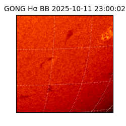 gong - 2025-10-11T23:00:02
