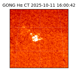 gong - 2025-10-11T16:00:42