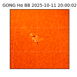 gong - 2025-10-11T20:00:02