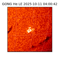 gong - 2025-10-11T04:00:42