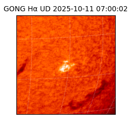 gong - 2025-10-11T07:00:02