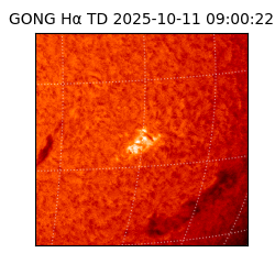 gong - 2025-10-11T09:00:22