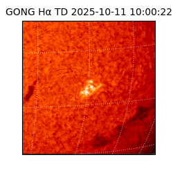 gong - 2025-10-11T10:00:22