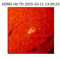 gong - 2025-10-11T13:00:22