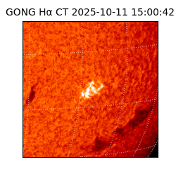 gong - 2025-10-11T15:00:42