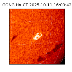 gong - 2025-10-11T16:00:42