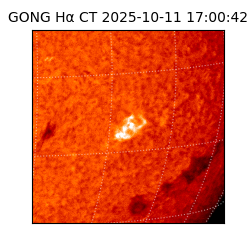 gong - 2025-10-11T17:00:42