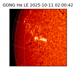 gong - 2025-10-11T02:00:42