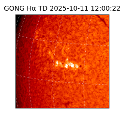 gong - 2025-10-11T12:00:22
