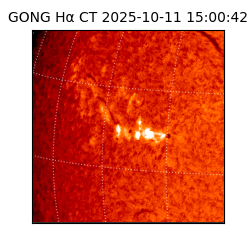 gong - 2025-10-11T15:00:42