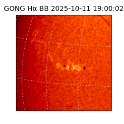 gong - 2025-10-11T19:00:02