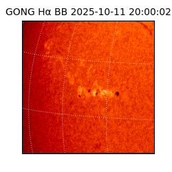 gong - 2025-10-11T20:00:02