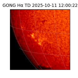 gong - 2025-10-11T12:00:22