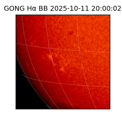 gong - 2025-10-11T20:00:02