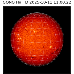 gong - 2025-10-11T11:00:22