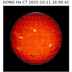 gong - 2025-10-11T16:00:42