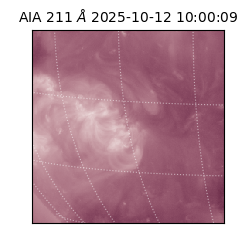 saia - 2025-10-12T10:00:09.626000