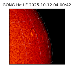 gong - 2025-10-12T04:00:42