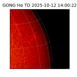 gong - 2025-10-12T14:00:22
