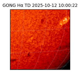 gong - 2025-10-12T10:00:22