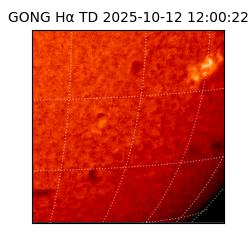 gong - 2025-10-12T12:00:22